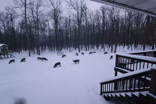 867 29th Ave, Barronett, WI 54813 - Photo 45