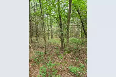 Tbd Folsom Street, Shafer, MN 55074 - Photo 5