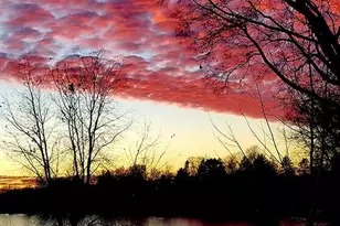 50755 Almond Ave, Stanchfield, MN 55080 - Photo 31