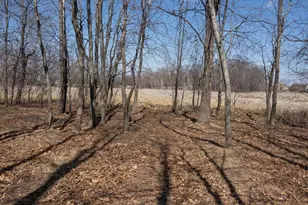 2751 233rd Ln NW, Saint Francis, MN 55070 - Photo 25