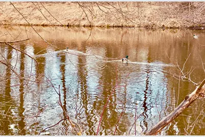 2125 Hazelwood Street, Maplewood, MN 55109 - Photo 3