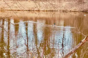 2125 Hazelwood St, Maplewood, MN 55109 - Photo 3