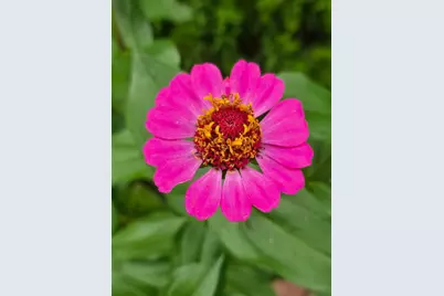 3231 Longfellow Avenue, Minneapolis, MN 55407 - Photo 41