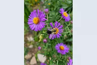 3231 Longfellow Avenue, Minneapolis, MN 55407 - Photo 43