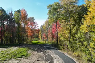 10011 211th St N, Forest Lake, MN 55025 - Photo 21