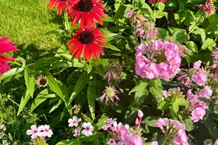 14837 Crestview Ave W, Rosemount, MN 55068 - Photo 37