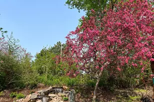 14837 Crestview Ave W, Rosemount, MN 55068 - Photo 35