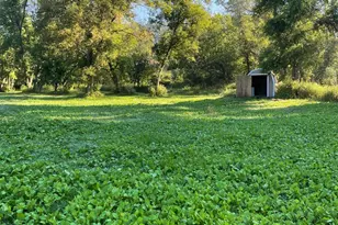 27380 Sevastopol Rd, Red Wing, MN 55066 - Photo 7