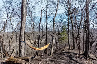 277 Red Ridge Road, Good Thunder, MN 56037 - Photo 23