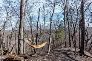 277 Red Ridge Rd, Good Thunder, MN 56037 - Photo 23