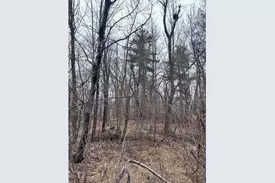 79Xx Golf Estates Drive, Pequot Lakes, MN 56472 - Photo 1