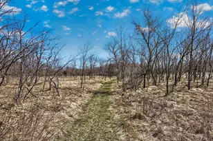 12484 Sunset Trail, Welch Township, MN 55089 - Photo 17