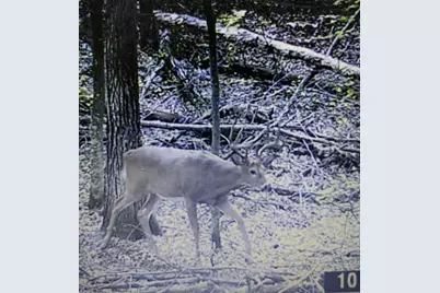 15576 263rd Street, Fort Ripley, MN 56449 - Photo 5