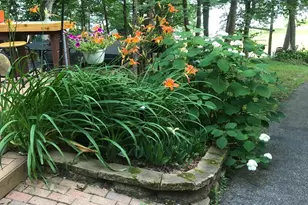 24814 Highwood Trail, Akeley, MN 56433 - Photo 15