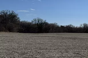 Tbdd 210th Ln NW, Nowthen, MN 55303 - Photo 1