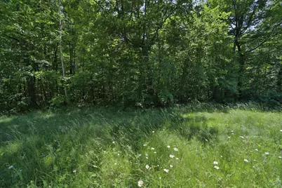 Tract D Olander Road, Crosby, MN 56441 - Photo 5