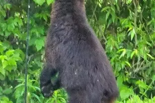 N10301 171st St, Boyceville, WI 54725 - Photo 37