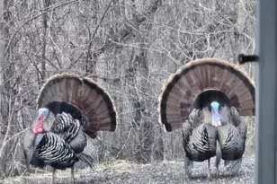 N10301 171st St, Boyceville, WI 54725 - Photo 35
