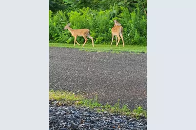 N10301 171st Street, Boyceville, WI 54725 - Photo 31