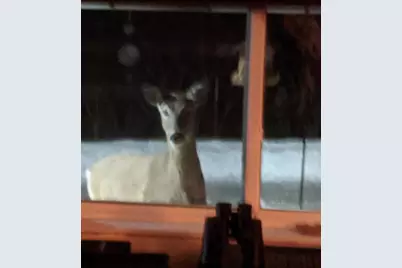 N10301 171st Street, Boyceville, WI 54725 - Photo 33