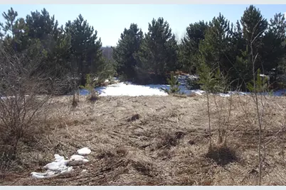 Xxx Hwy 35, Frederic, WI 54837 - Photo 7