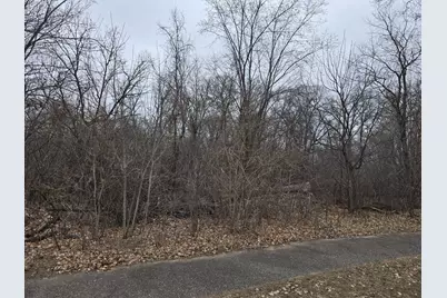 L2,B2 288th Avenue NW, Zimmerman, MN 55398 - Photo 1