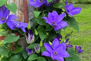 30562 376th Ave, Aitkin, MN 56431 - Photo 75