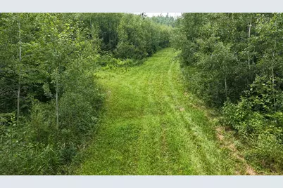 Tbd Tangnes Forest Road, Roosevelt, MN 56673 - Photo 21