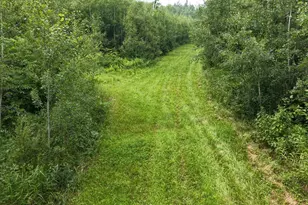 Tbd Tangnes Forest Rd, Roosevelt, MN 56673 - Photo 21