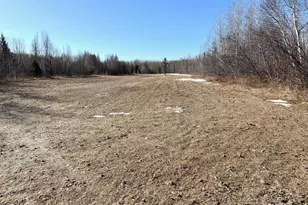 Tbd Tangnes Forest Rd, Roosevelt, MN 56673 - Photo 25