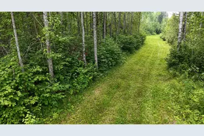 Tbd Tangnes Forest Road, Roosevelt, MN 56673 - Photo 19