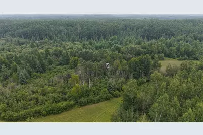 Tbd Tangnes Forest Road, Roosevelt, MN 56673 - Photo 23