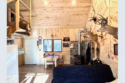 Tbd Tangnes Forest Road, Roosevelt, MN 56673 - Photo 11