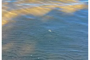 18575 Power Dam Rd NE, Bemidji, MN 56601 - Photo 7