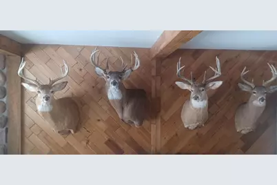 Tbd Stewart Road, Stockholm, WI 54769 - Photo 15