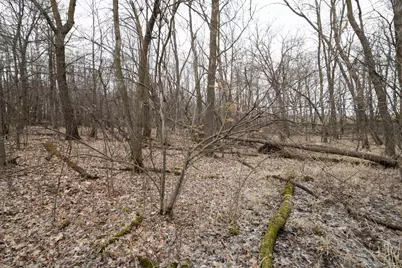 Lot 3 Saylers Beach Road, Lake Park, MN 56554 - Photo 5