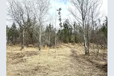 24996 Horseshoe Road, Akeley, MN 56433 - Photo 61