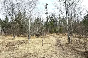 24996 Horseshoe Rd, Akeley, MN 56433 - Photo 61