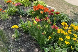 4015 Wayzata Blvd, Golden Valley, MN 55416 - Photo 41