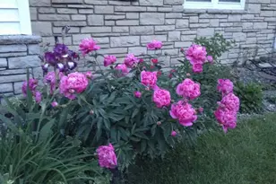 5616 Beard Ave S, Edina, MN 55410 - Photo 41