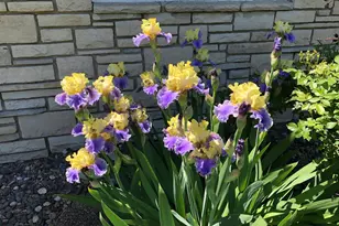 5616 Beard Ave S, Edina, MN 55410 - Photo 43