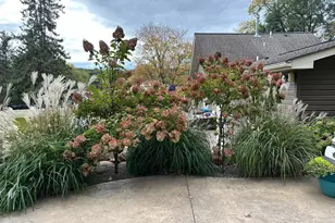 520 N Hamilton St, Saint Croix Falls, WI 54024 - Photo 35