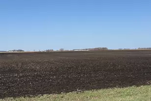 440 440th, Hector, MN 55342 - Photo 1