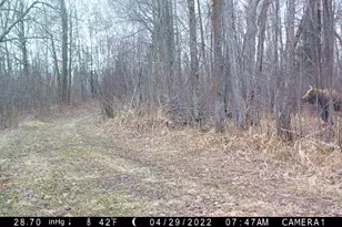 44047 Little Pine Rd, Emily, MN 56447 - Photo 75