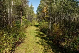 44047 Little Pine Rd, Emily, MN 56447 - Photo 47