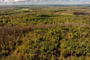 44047 Little Pine Rd, Emily, MN 56447 - Photo 61