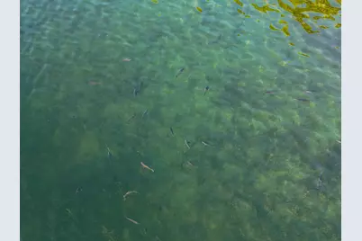 344Xx 452nd St [a4], Vergas, MN 56587 - Photo 9