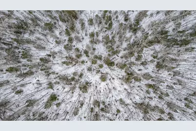 Xxx Lismore Road, Duluth, MN 55803 - Photo 5