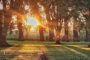 2997 440th St, Clarkfield, MN 56223 - Photo 23