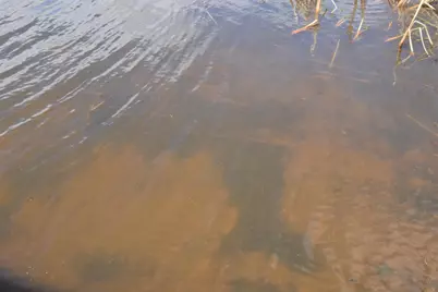 24199 Clam Lake Drive, Siren, WI 54872 - Photo 43